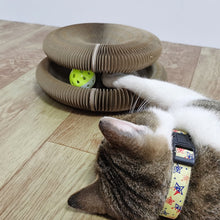 Load image into Gallery viewer, Magic Cat Cordion