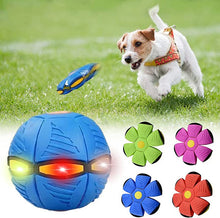 Load image into Gallery viewer, Flying Saucer Ball Dog Toy